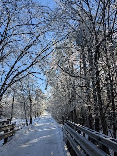 Our little bridge after an ice storm